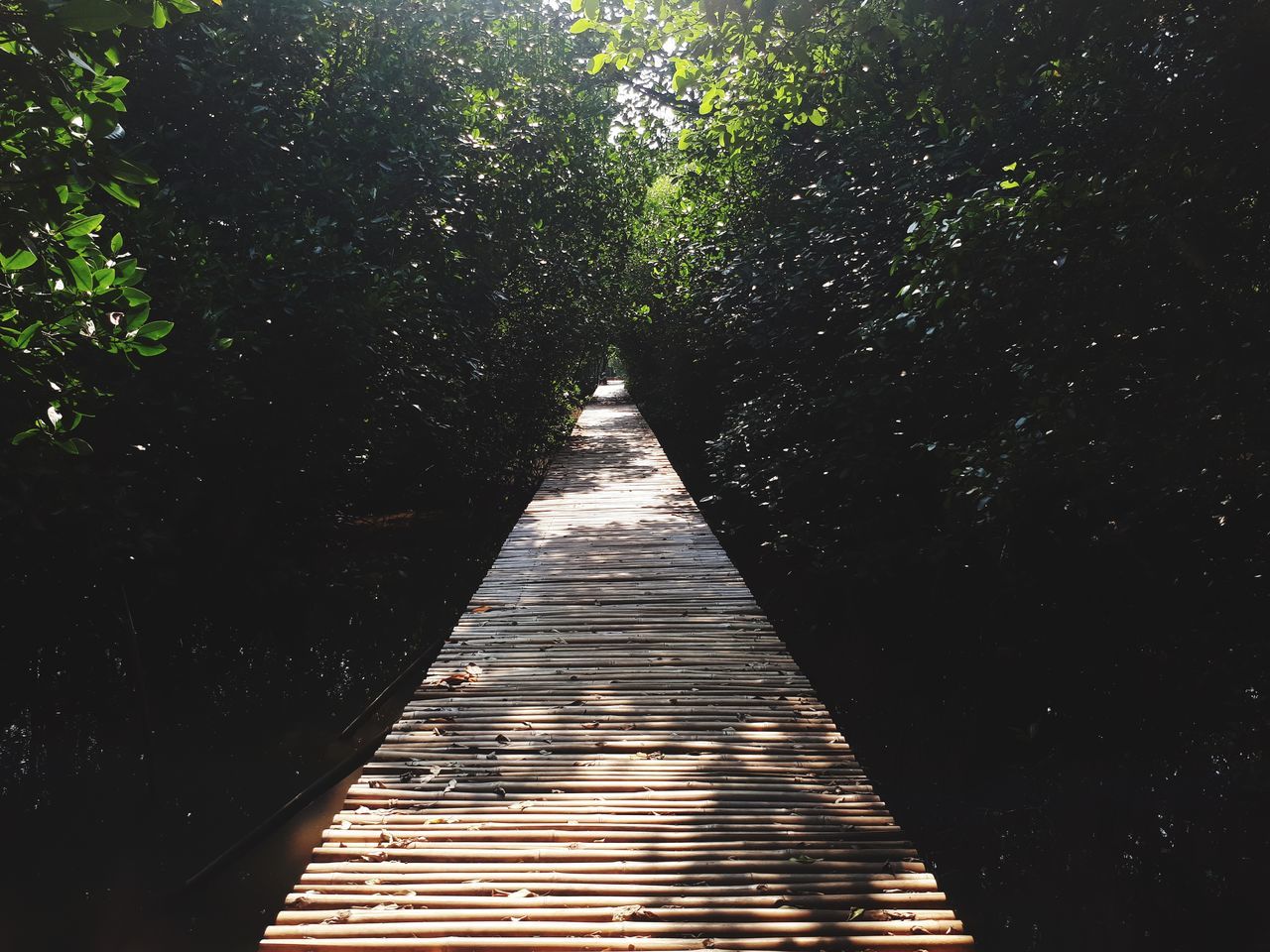 VIEW OF FOOTPATH LEADING TOWARDS FOREST