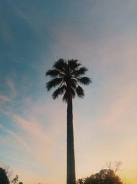 Low angle view of silhouette palm tree against romantic sky