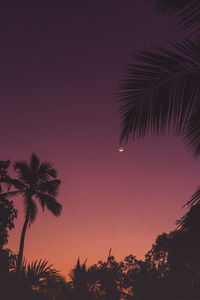 Silhouette palm trees against sky during sunset