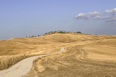 landscape