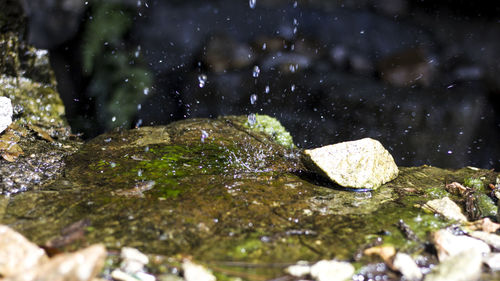 Water flowing in sunlight