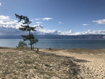 Scenic view of beach against sky