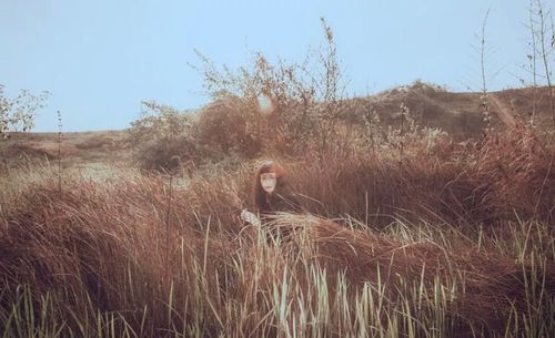 Plants growing on field