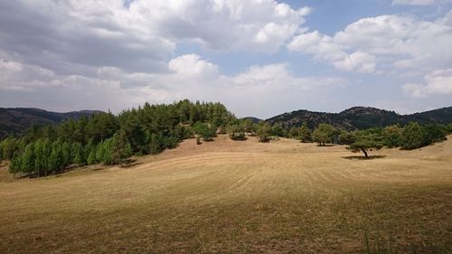 Scenic view of landscape against cloudy sky