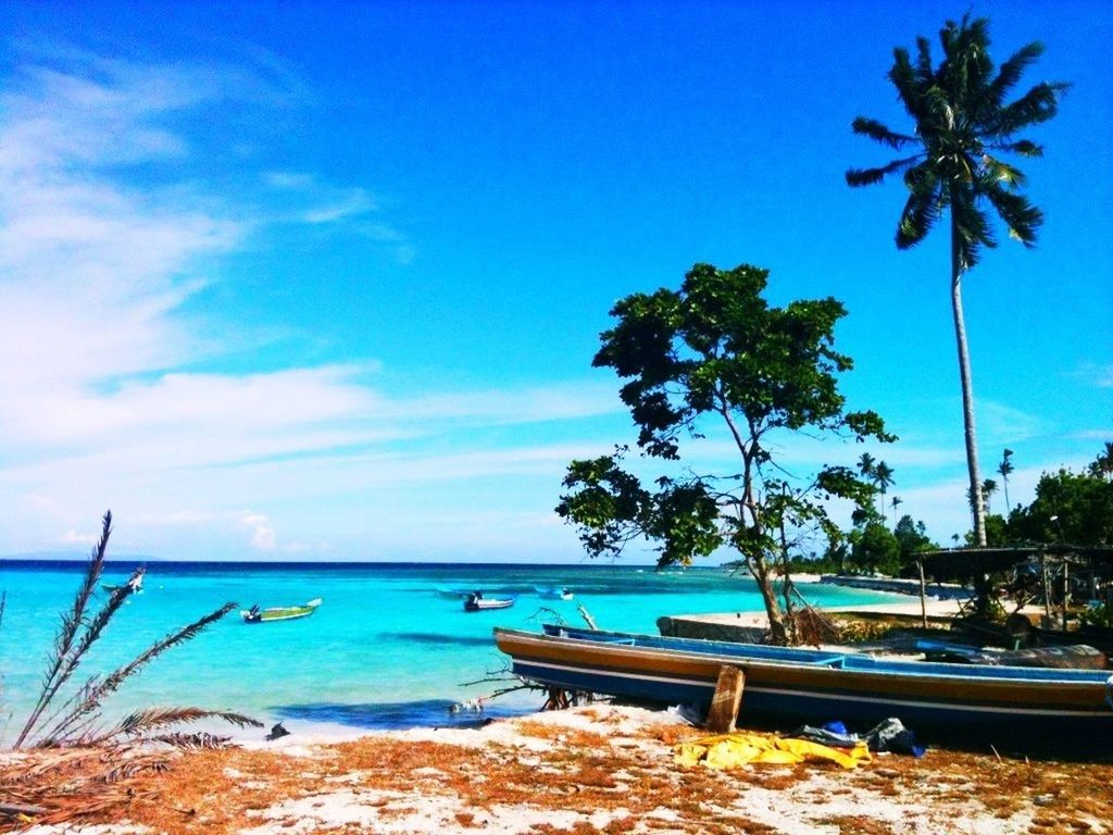 water, sea, beach, horizon over water, palm tree, blue, tranquil scene, tranquility, shore, tree, scenics, sky, beauty in nature, nautical vessel, nature, sand, boat, idyllic, growth, tropical climate