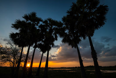 Silhouette palm trees against sky during sunset