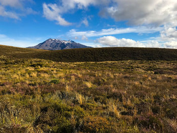 Scenic view of landscape against sky