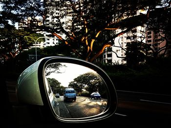 Reflection of car on side-view mirror