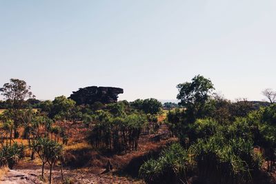 Scenic view of landscape against clear sky