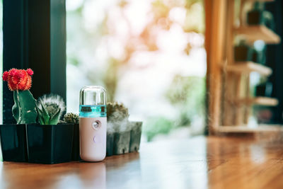 Potted plant on table at home