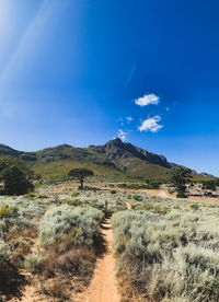 Scenic view of landscape against blue sky