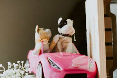 Close-up of stuffed toys in car