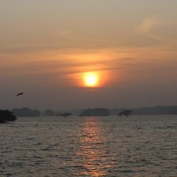 Scenic view of sea at sunset