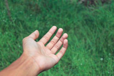 Cropped image of hand against grassy field