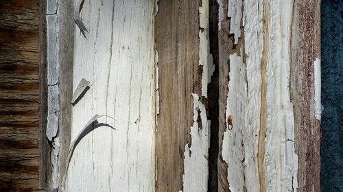 Close-up of wooden wall