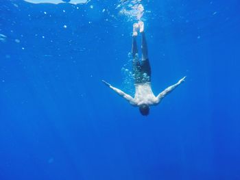 Jellyfish swimming in sea