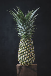 Close-up of fruit on table against black background