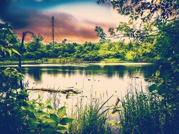 Scenic view of lake in forest against sky