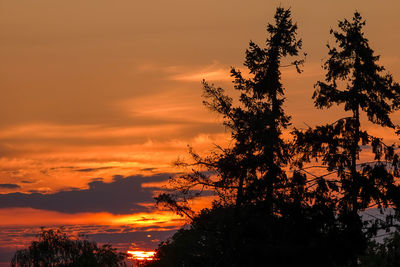 Low angle view of silhouette trees against orange sky