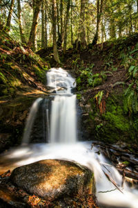 View of waterfall in forest