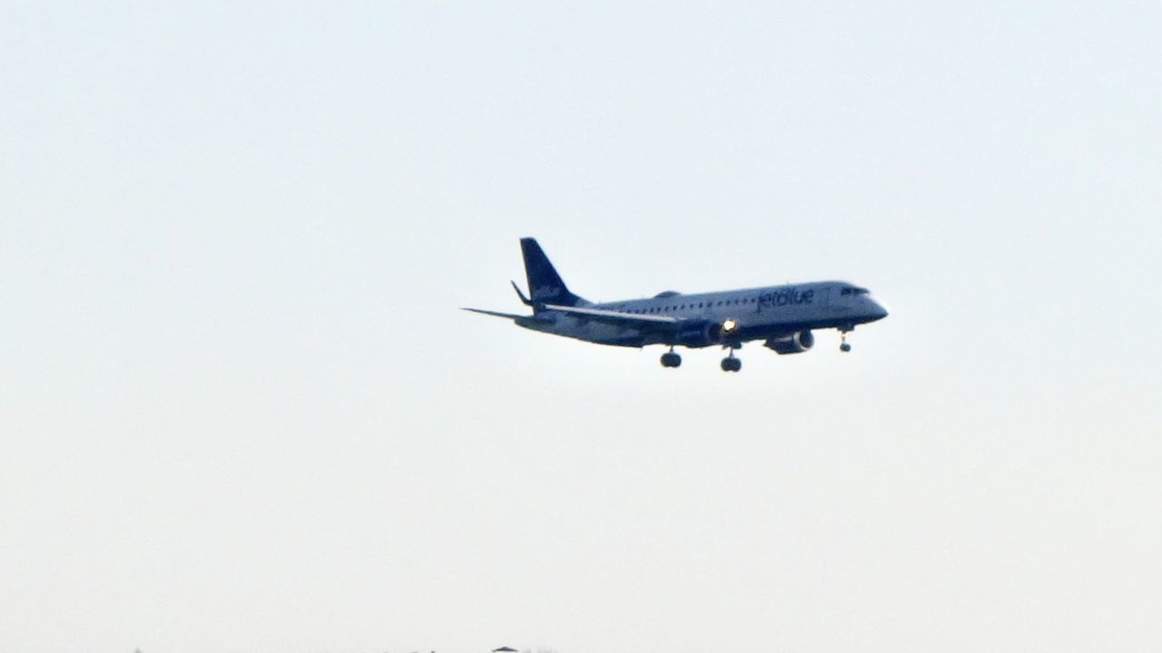 VIEW OF BIRD FLYING OVER A BACKGROUND