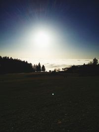 Sun shining through trees on field