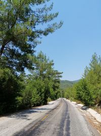 Empty road amidst trees against sky