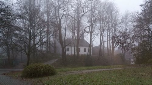 Bare trees on field in foggy weather