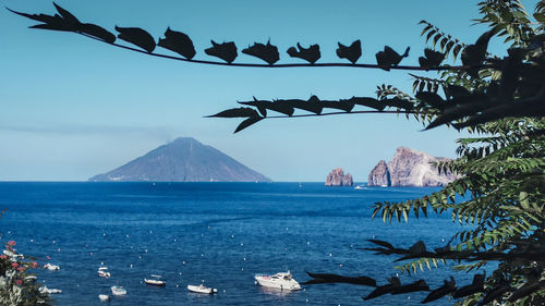 Birds flying over sea against sky