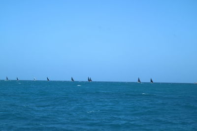 Scenic view of sea against clear blue sky