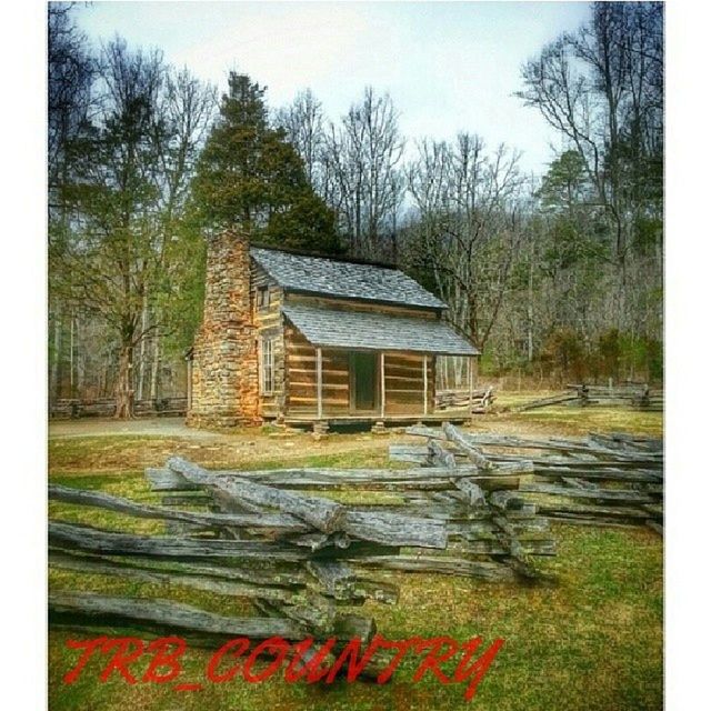 tree, built structure, architecture, building exterior, house, bare tree, abandoned, transfer print, auto post production filter, old, obsolete, damaged, run-down, wood - material, sky, deterioration, day, residential structure, weathered, outdoors