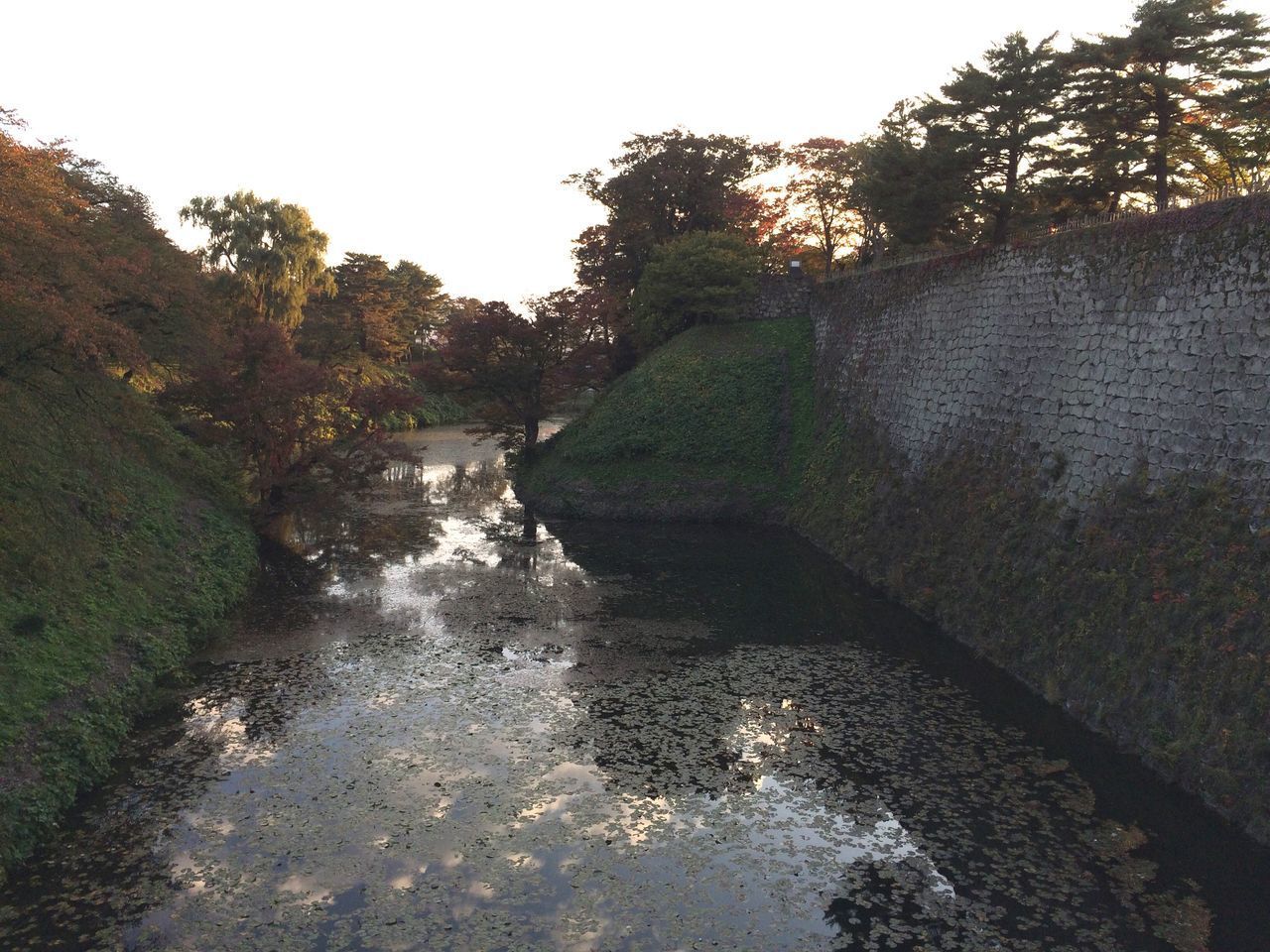 RIVER FLOWING AMIDST TREES AGAINST SKY