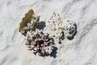 Close-up of sand on beach