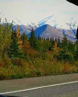 Road passing through mountain