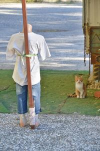 Full length of puppet with cat