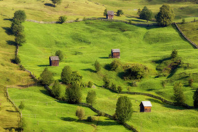 Scenic view of agricultural landscape