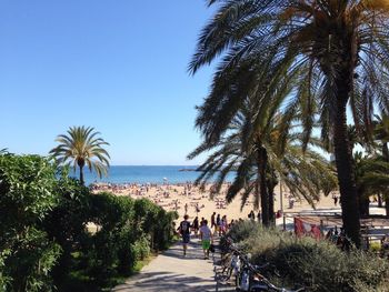 Scenic view of beach against blue sky