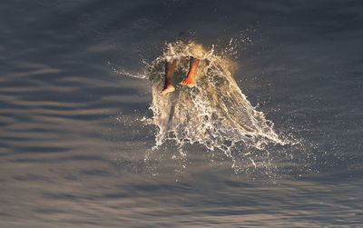 Upside down view of man swimming in sea