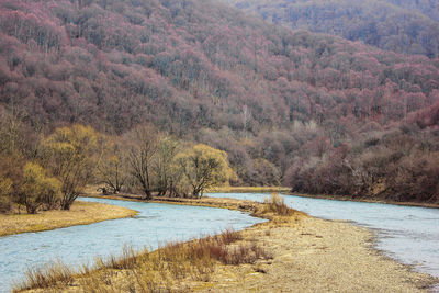 Scenic view of landscape during winter