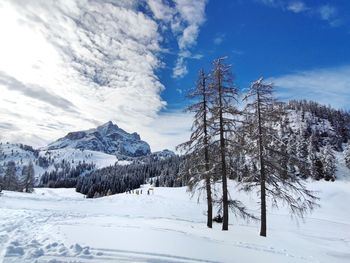 Trees on snow covered landscape against sky with mountains and clouds
