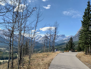 Road amidst bare trees against sky