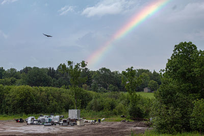 Scenic view of rainbow over trees against sky