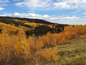 Scenic view of landscape against sky during autumn