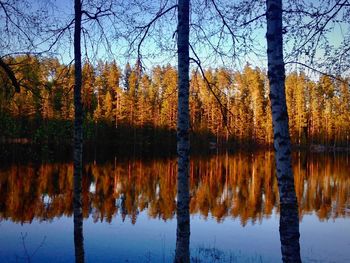 Reflection of trees in lake against sky at sunset