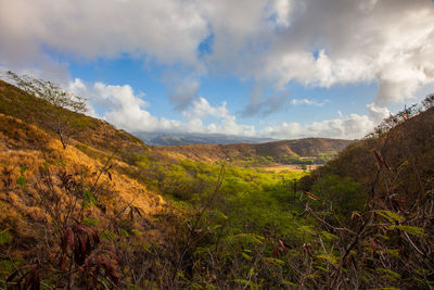 Scenic view of landscape against sky