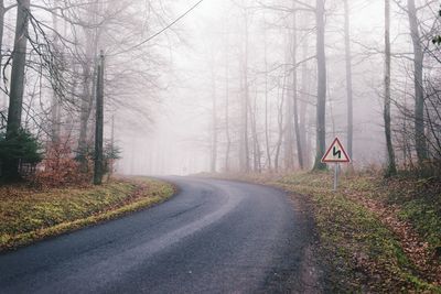 Road amidst trees in forest