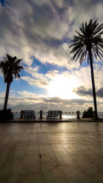 Silhouette palm trees on beach against sky during sunset