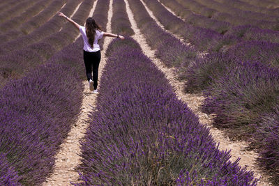 Rear view of woman walking on lavender field