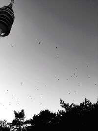 Low angle view of birds flying in sky