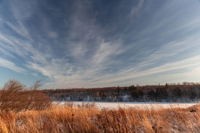 Scenic view of field against sky during winter